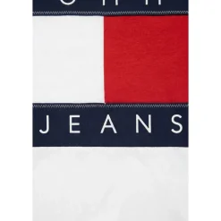 Big Flag Logo T-Shirt