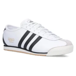 Skate Shoes