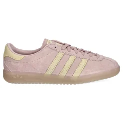 Skate Shoes