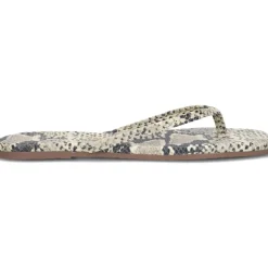 Square Toe Exotics